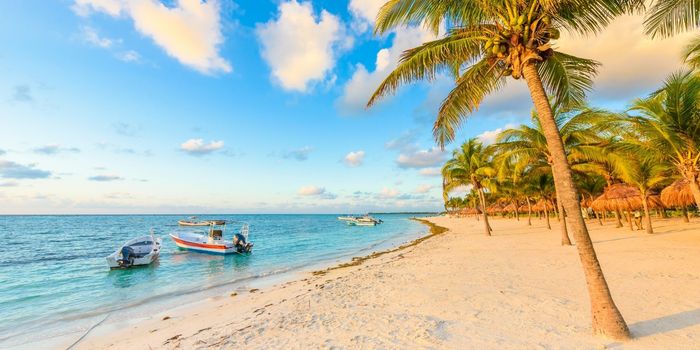 Cancún Todo Incluido - 8 días