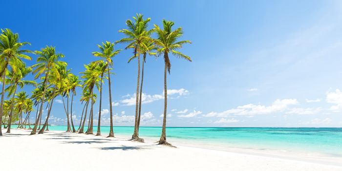Punta Cana, Caribe Super Lujo - 8 días